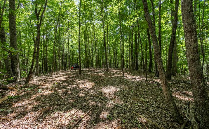 Pictures of Land property located at 20 Ac Pack Mountain Road, Murphy, NC 28906 for sales - image #1