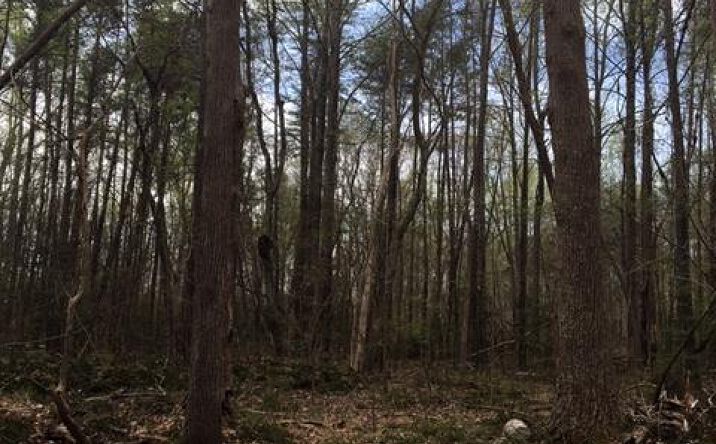 500 Courthouse Road, HEATHSVILLE