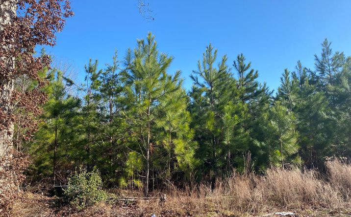687 Chestnut Grove Lane, LANCASTER