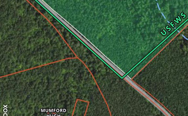 50 Laurel Grove Road, FARNHAM