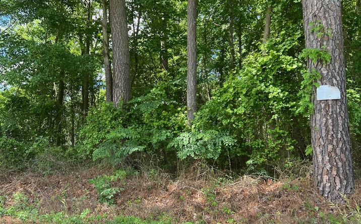 Old Salem Road, IRVINGTON