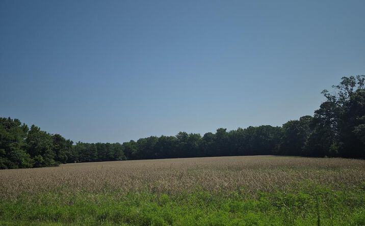 4854 Coles Point Road, HAGUE