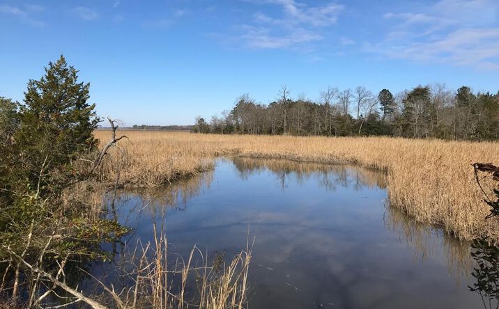 Pictures of Land, Special Purpose property located at Lot 14 Goose Creek Rd, SHACKLEFORDS, VA 23156 for sales - image #1