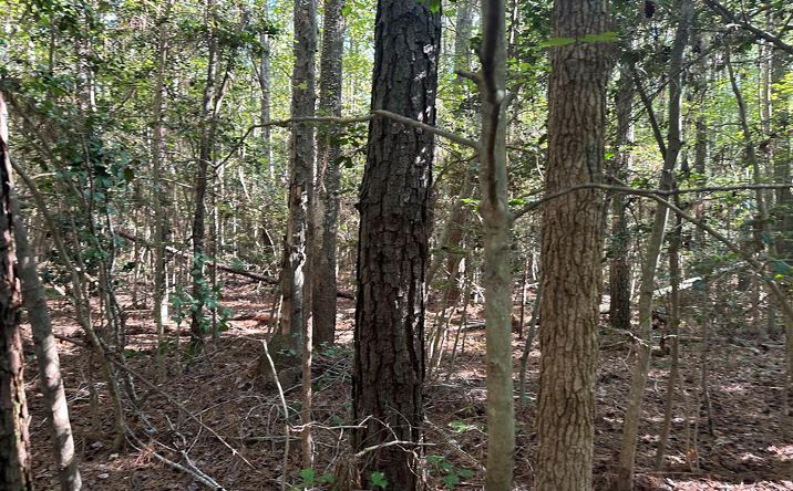 Pictures of Land, Special Purpose property located at Browns Store Road, WICOMICO CHURCH, VA 22579 for sales - image #1