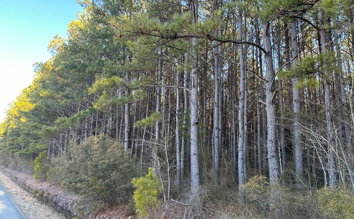 25 Acres Farnham Creek Road, FARNHAM