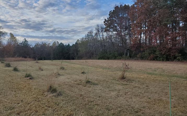 Walnut Point Road, HEATHSVILLE