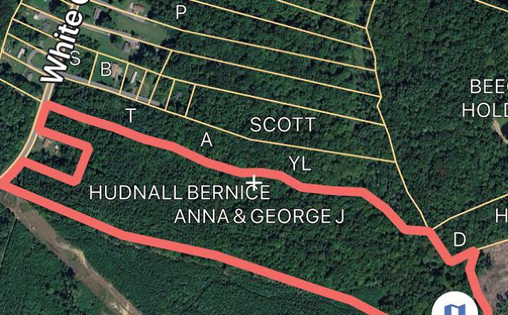Pictures of Land, Special Purpose property located at 1180 White Chapel Road, LIVELY, VA 22507 for sales - image #1