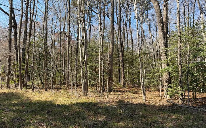 Pictures of Land, Special Purpose property located at Apple Grove Road, KILMARNOCK, VA 22482 for sales - image #1