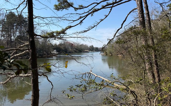 Pictures of Land, Special Purpose property located at Par 66 Whays Creek Road, REEDVILLE, VA 22539 for sales - image #1