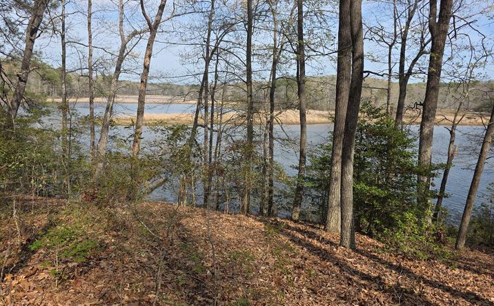 Pictures of Land, Special Purpose property located at LOT 5 Richmond Hill Road, WARSAW, VA 22572 for sales - image #1