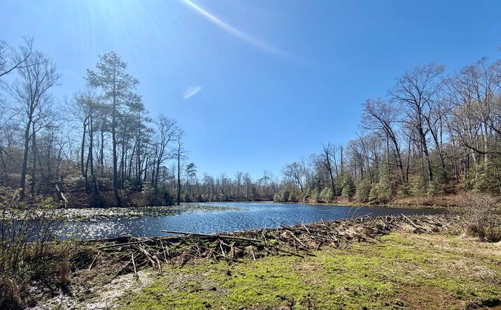 Pictures of Land, Special Purpose property located at lot 17 Bull Neck Road, CARET, VA 22436 for sales - image #1