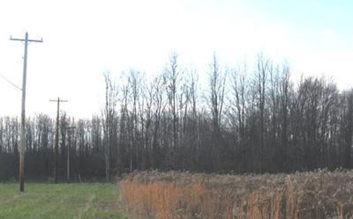 B St Rt 232, Bethel