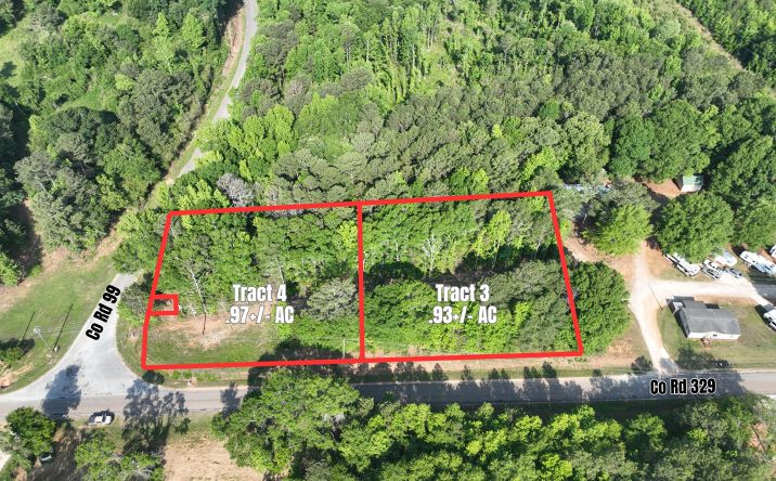 Pictures of Land, Mobile Home Park property located at County Road 329, Wedowee, AL 36278 for sales - image #1