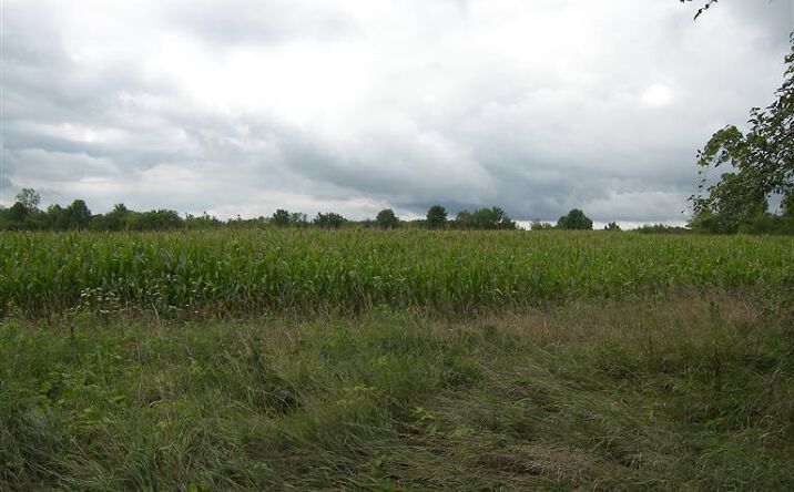 Eagle Road, Jackson Twp