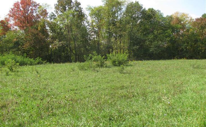 Hickman Road, Vevay