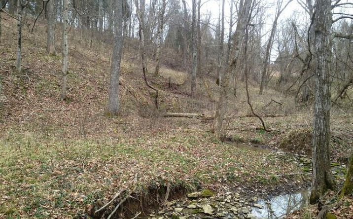 Braytown Road, Vevay