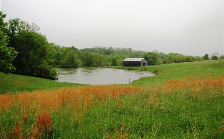Circle Drive, Union Twp
