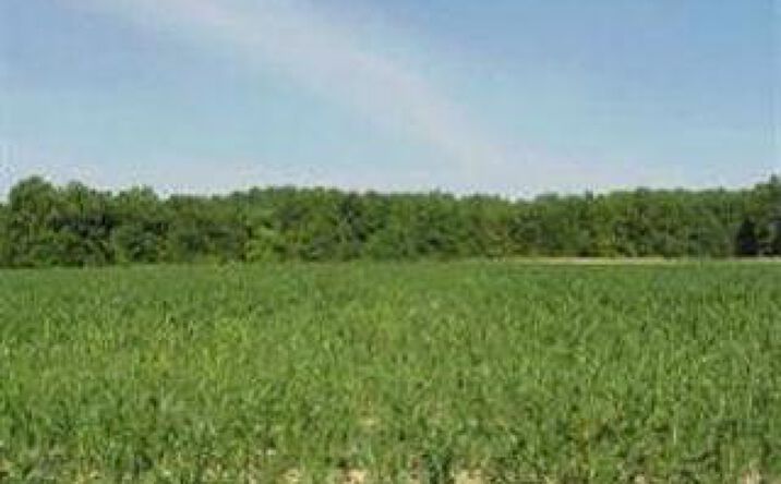 Co Rd 625, Milan