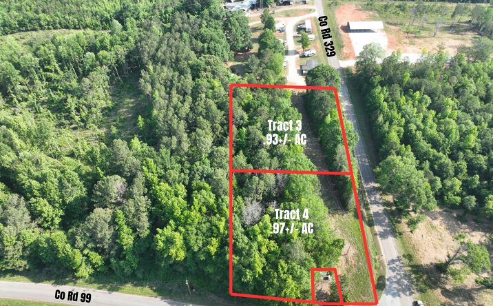 Pictures of Mixed Use, Land property located at County Road 329, Wedowee, AL 36278 for sales - image #1