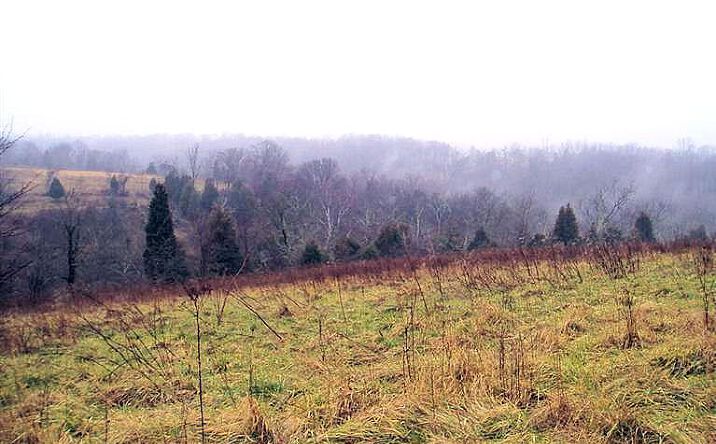 57ac Devers Road, Patriot