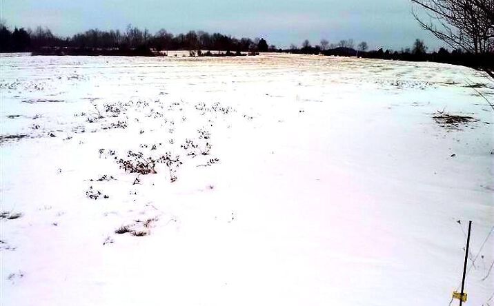 Walnut Shade Road, Brushcreek Twp
