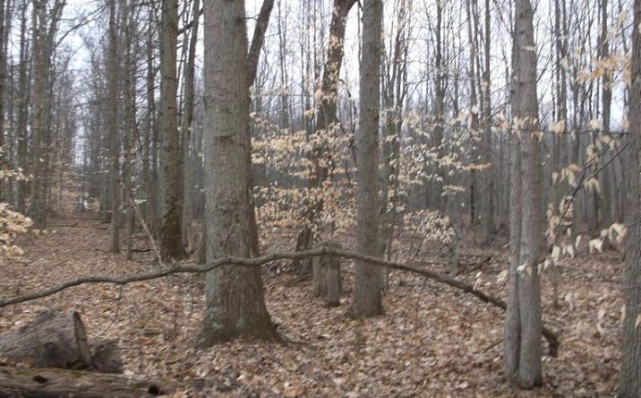 8321 Louderback Road, Jackson Twp