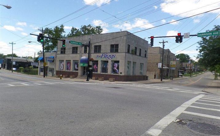 Harrison Avenue, Cheviot