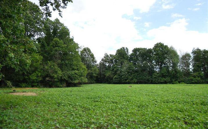 Clough Pike, Batavia Twp