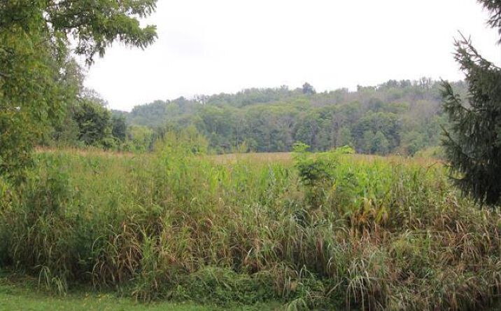 St Rt 222, Batavia Twp