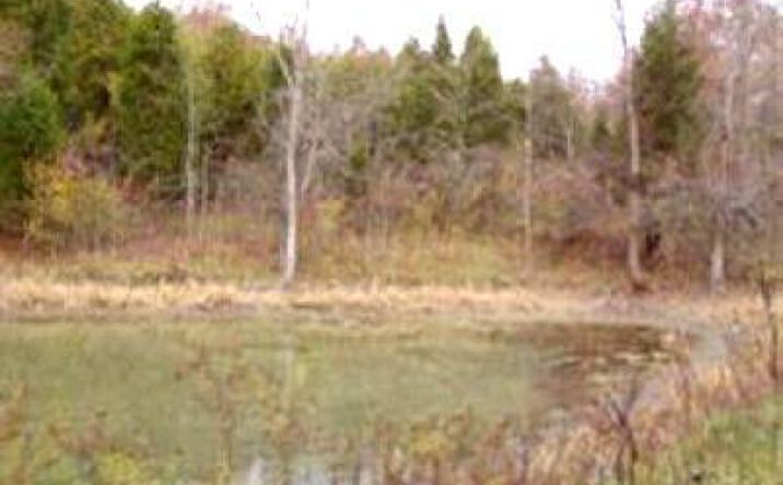 47.000ac Chappelow Hill Road, West Harrison