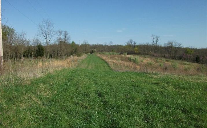 Hines Road, Liberty Twp