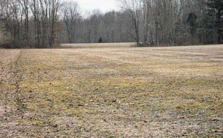 Burdsall Road, Jackson Twp