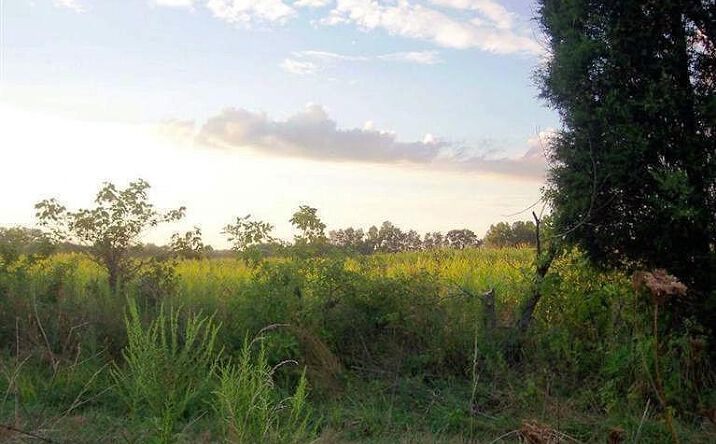 74.600ac St Rt 262, Dillsboro