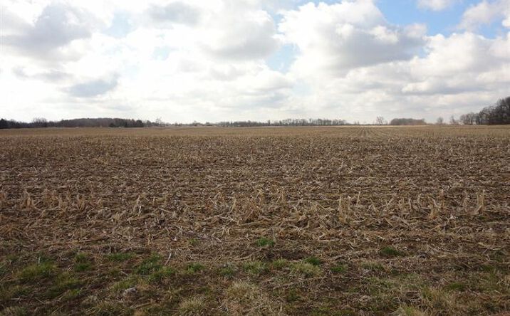 Orchard Road, Union Twp