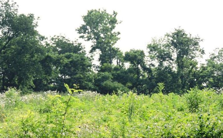 115.27ac Salem Ridge Road, Aurora