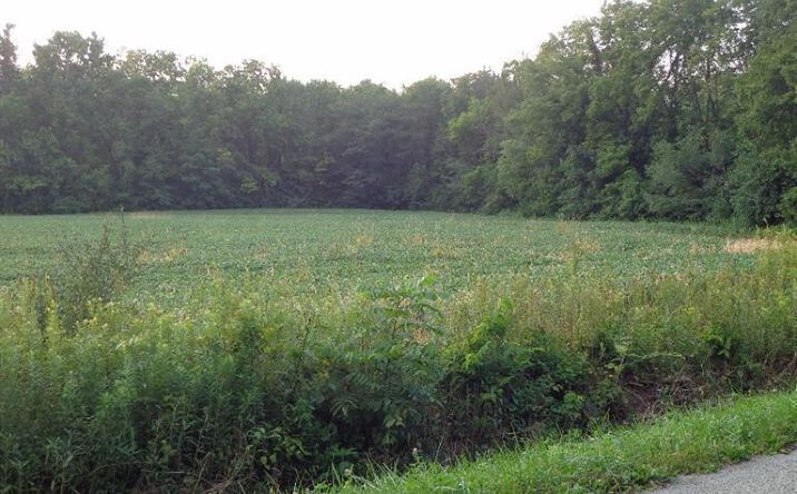 Jenkins Road, Union Twp