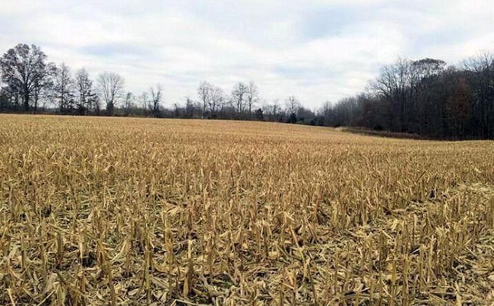 14.515ac Weisburg Road, Sunman
