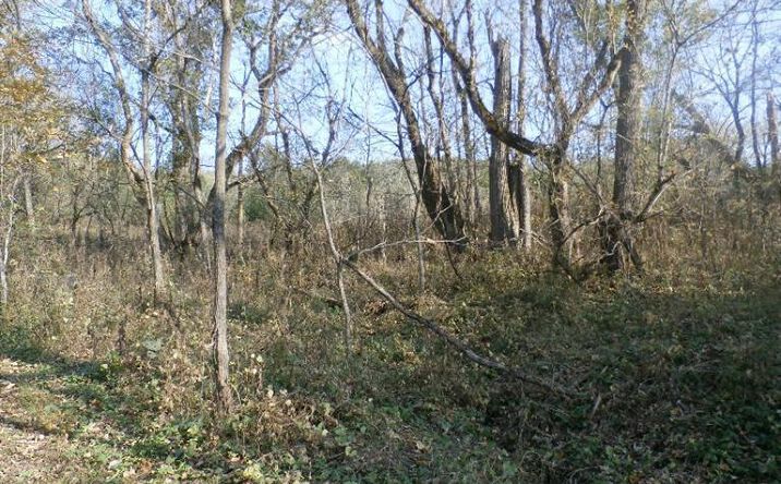 53.89ac Horner Chapel Road, Bratton Twp