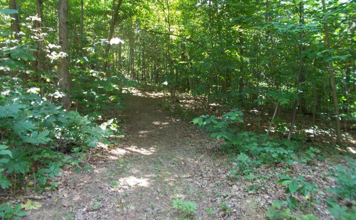 35.735ac Cynthiana Road, Brushcreek Twp