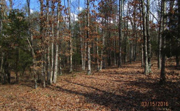 31.450ac White Oak Road, Brushcreek Twp