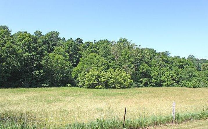 72.440ac McDonald Lane, Washington Twp