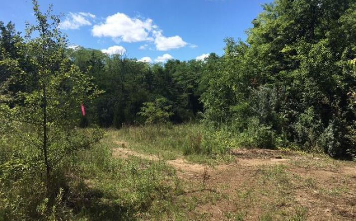 19.640ac Deardoff Road, Franklin