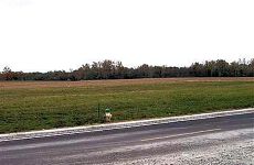 32972416