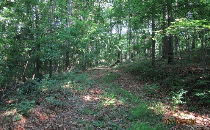39.7ac Mahogany Road, Brushcreek Twp