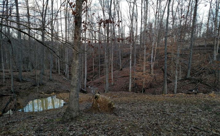 63.436ac Strait Creek Road, Brushcreek Twp