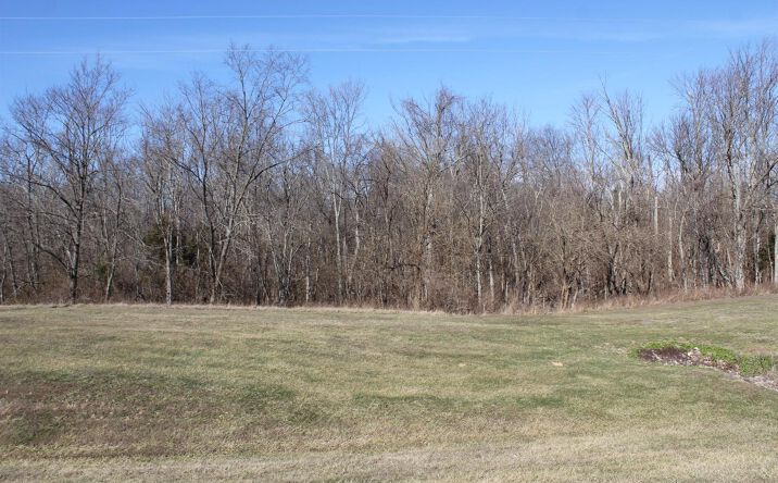10.290ac St Rt 56 W, Rising Sun