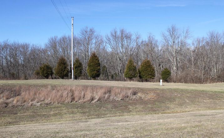 9.130ac St Rt 56 W, Rising Sun