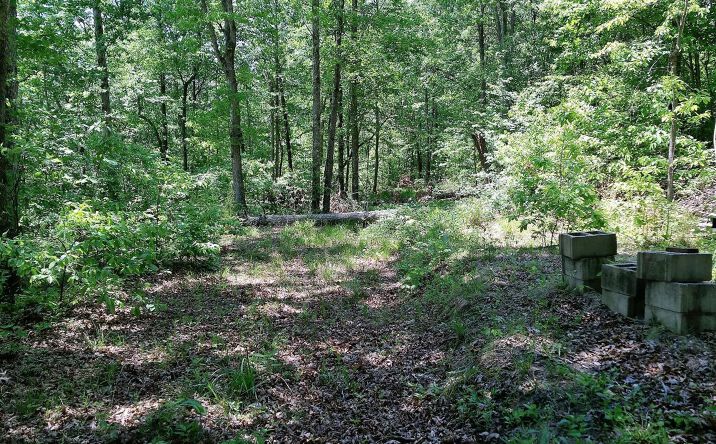 Rhoden Hollow Road, Bloom Twp