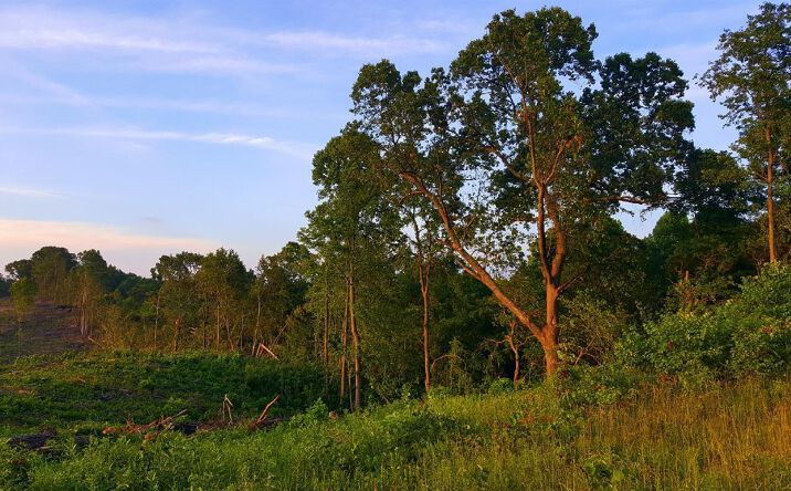 163ac Mt Olive Road, Bidwell