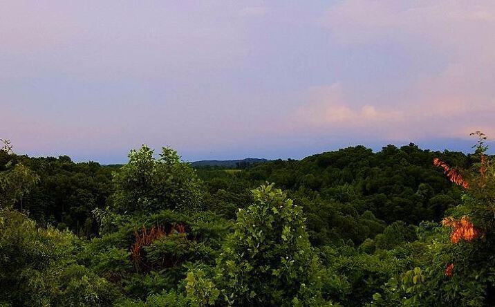79.53ac Jackson Fork Road, Bloom Twp